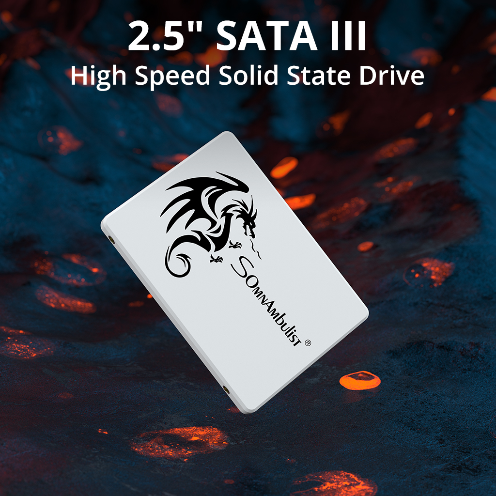 SSD 2.5 - 256GB - SomnAmbulist 4