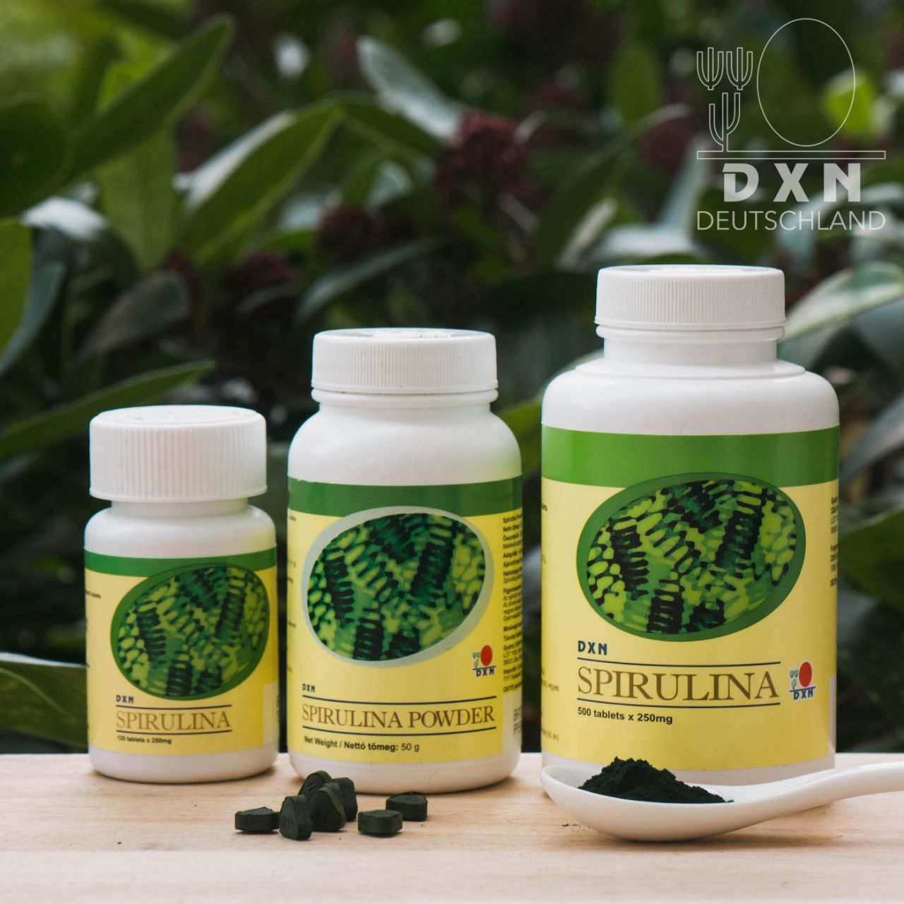 ?Spirulina?? الدم الأخضر 2
