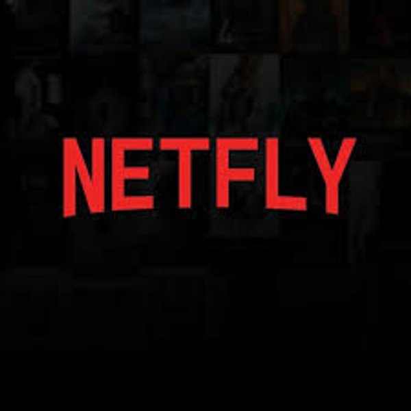 Netfly VIP 3 Months - Global